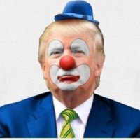 Paul Freid (@paulfreid5) 's Twitter Profile Photo Paul Freid (@paulfreid5) 's Twitter Profile Photo