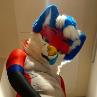 Redside of Nero (@nerobadfoxy) 's Twitter Profile