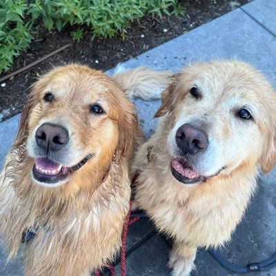 Senior Managing Director @ManattHealth. Health care policy consultant. Passionate about Medicaid. Mom of three plus 2 Goldens. Views here are my own.