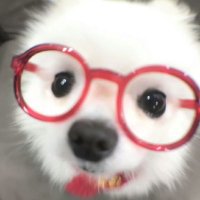 มีมาย 🧸 (@yousmilin) 's Twitter Profile Photo มีมาย 🧸 (@yousmilin) 's Twitter Profile Photo