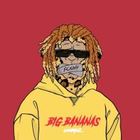 Crypto Wayne (@cryptowayn70728) 's Twitter Profile