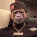 Rozzay (@peerozzay) Twitter profile photo Rozzay (@peerozzay) Twitter profile photo