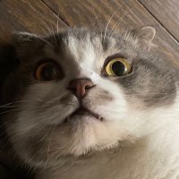 Sylvv (@pierre09ft) 's Twitter Profile