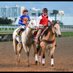 Ty Kennedy (@jockeybowty) Twitter profile photo Ty Kennedy (@jockeybowty) Twitter profile photo
