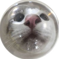 simplush ⭐️ (@simplush) 's Twitter Profile