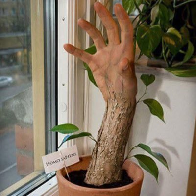 Randomfella33's profile picture. 