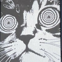 Z (@undead_error) 's Twitter Profile
