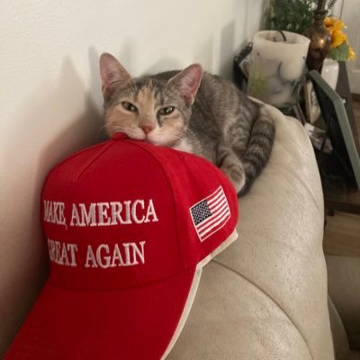ChristinaJ44754's profile picture. 