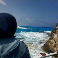 👻 (@elbrawysama) 's Twitter Profile