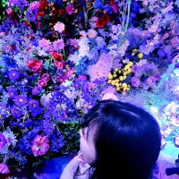 れい (@rei_orange_cd) 's Twitter Profile
