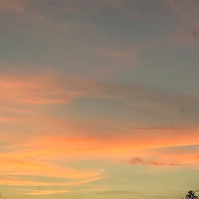 ScarlettSt82533's profile picture. Hewwo :3