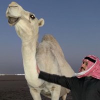 حمد علي العدواني (@4adwni) 's Twitter Profile Photo