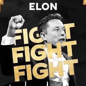 elloncryptomeme's profile picture. SELON is the third member of the fight fight fight