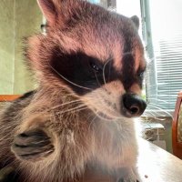 슈크림 (@baek_on) 's Twitter Profile