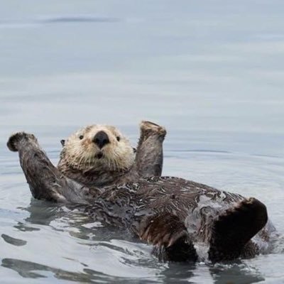 Ruru1257756's profile picture. 今年からイギリスの大学院に入学する大学4年生🏫