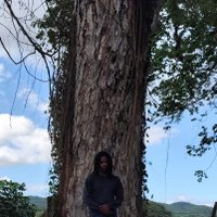jg (@frassprophet) 's Twitter Profile Photo jg (@frassprophet) 's Twitter Profile Photo