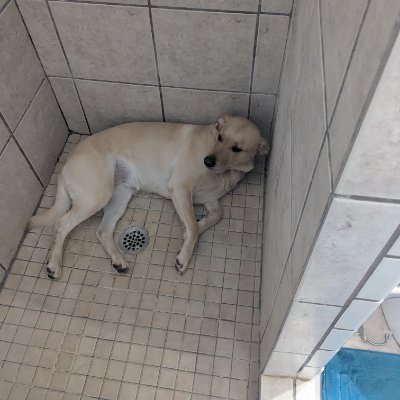 Cwarenski's profile picture. 