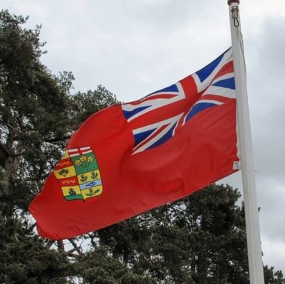 mark_m81's profile picture. 
