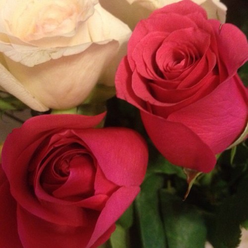 mommasingh's profile picture. 