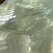 h0rnyg00n's profile picture. Sharing what I like