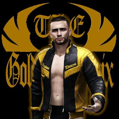 Nick Name~The Golden Phoenix --- Name~Brandon Diceys
Pronouns~They/Them
|| DPW || ~Open for Signing!~
/|Fight All Night, and Rock All Day!|\