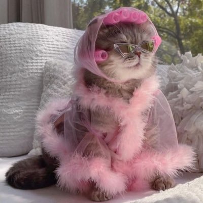 burcuuSrd's profile picture. 