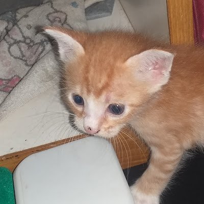 RTaufiqurr26052's profile picture. 
