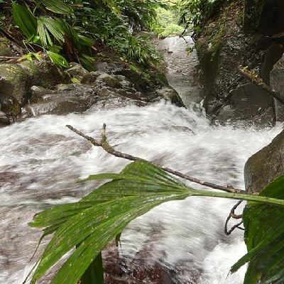 Eloratrade05's profile picture. crypto , trading, alcoin,...