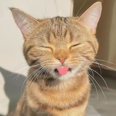 wonki29's profile picture. うぉんき中心の世界ここにありけり。