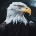 RAUL MAZA (@marcos00176812) Twitter profile photo RAUL MAZA (@marcos00176812) Twitter profile photo