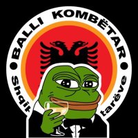 Albo Vicegerent (@albvicegerent) 's Twitter Profile Photo