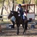Ella K (@ellak_dressage) Twitter profile photo Ella K (@ellak_dressage) Twitter profile photo