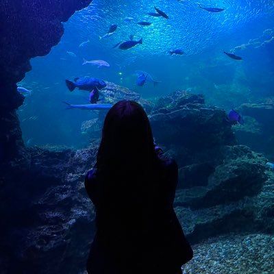 skp_chuuu's profile picture. 貴方の優しさで 救われるような世界で在ってほしいな