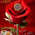 kifayat hussain (@kifayat35910440) Twitter profile photo kifayat hussain (@kifayat35910440) Twitter profile photo