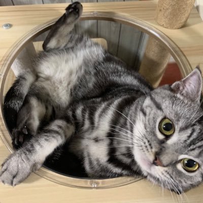 listonlife's profile picture. 