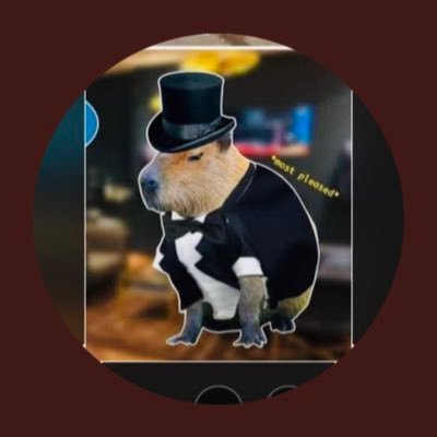 Husband, father of 2, Godfather of 4, Uncle, twin brother, Catholic 🇻🇦🇺🇸🇮🇹, Yankees, Bills, #BillsMafia, gun owner, capybara respecter