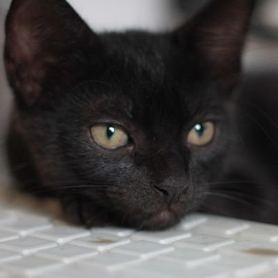 blackkk_caat's profile picture. 독서(SF위주)계정. 취발러🩰