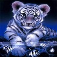 StackScanner (@scannersta12404) 's Twitter Profile