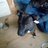 Lully78's profile image