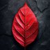 Nature vibes 🌸🕊️💗🌹❤️ (@gloriousthings5) Twitter profile photo Nature vibes 🌸🕊️💗🌹❤️ (@gloriousthings5) Twitter profile photo