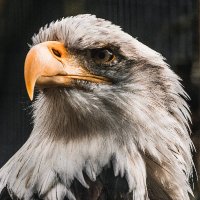 DhruvBodani.eth (@dhruvbodani) 's Twitter Profile Photo DhruvBodani.eth (@dhruvbodani) 's Twitter Profile Photo