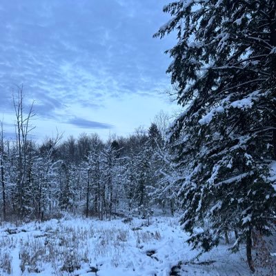 E__Q_A's profile picture. 