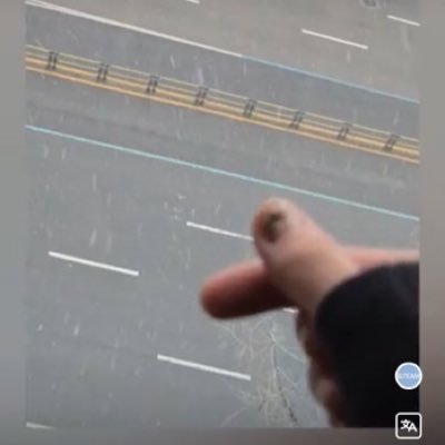 halune51's profile picture. 