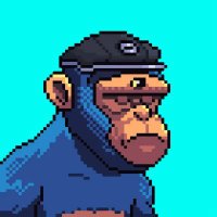 NIFTY (@niftyyu) 's Twitter Profile