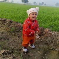 Sudesh (@sudeshredhu30) 's Twitter Profile