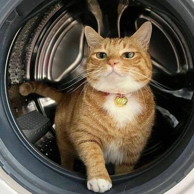Just a shitter wow addict -https://t.co/7jC92KIvvR
(OCE)