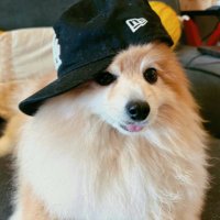 ppwap (@ppwap) 's Twitter Profile