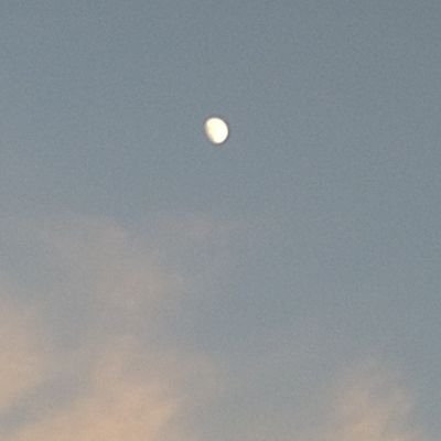 oshio_free's profile picture. 