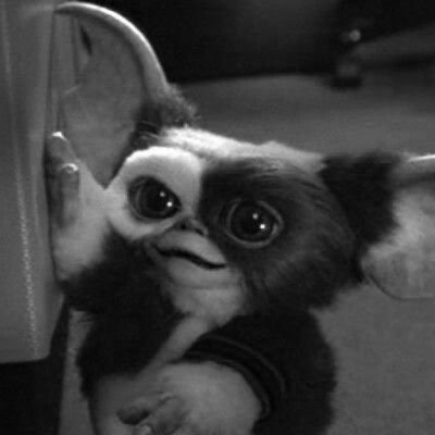 black_ryuk_'s profile picture. she/her // 19y// just a dark romance girly trying to find her dark romance man :3