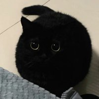 土豆D3_ (@tudoud3) 's Twitter Profile